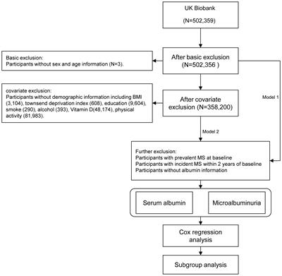 Albumin and multiple sclerosis: a prospective study from UK Biobank